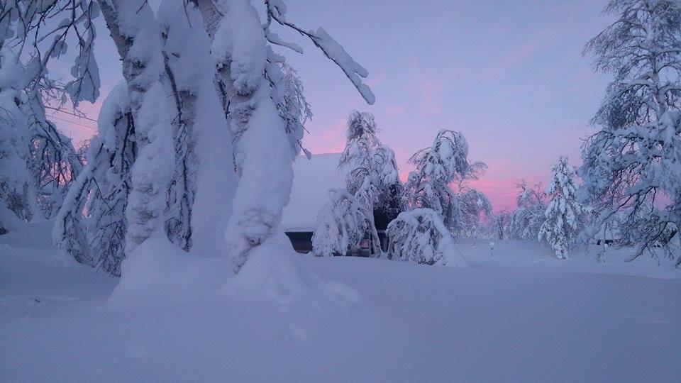 Galdotieva-Seo Villa Leppäjärvi Exterior foto